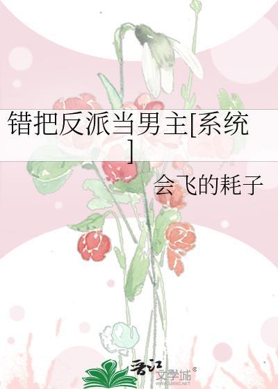 错把反派当男主书包网