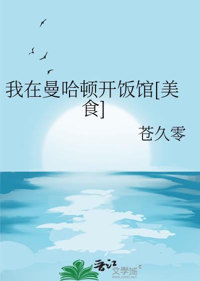 我在曼哈顿买百度