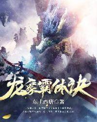 龙象战体