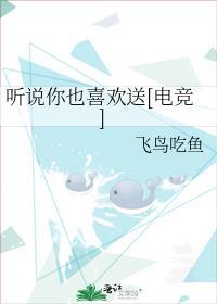 听说你也喜欢送电竞txt百度