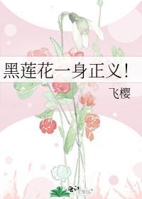 黑莲花一身正义评论
