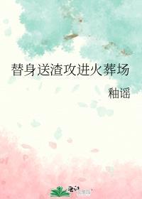 替身攻 追夫火葬场