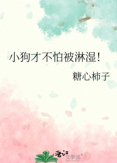 小狗才不怕被淋湿