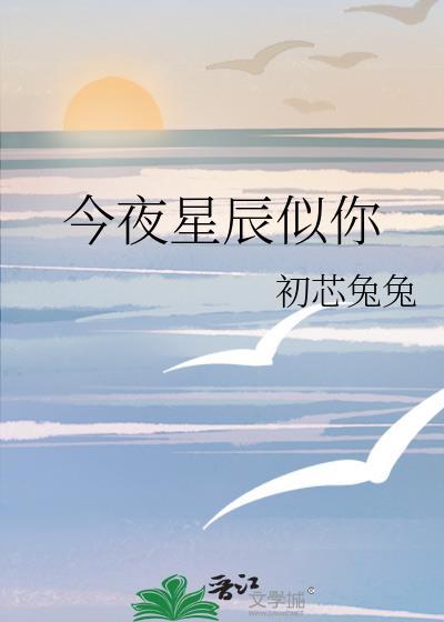 今夜星辰似你电视剧免费观看