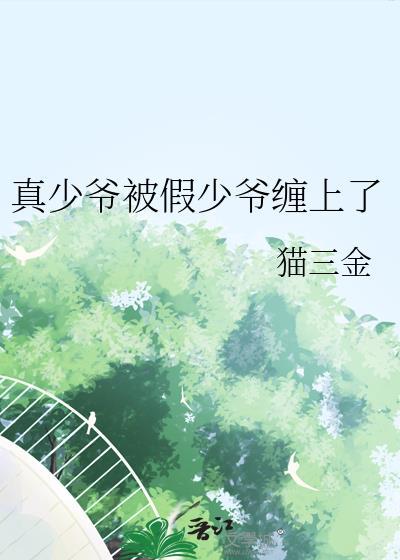 真少爷和假少爷he了全文