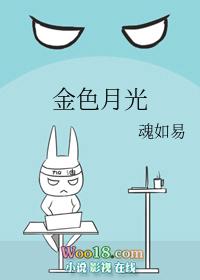 金色月光by魂如易上