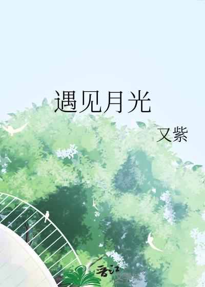 遇见月光作者 又紫
