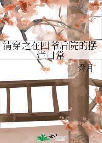 清穿之四爷后院升职记