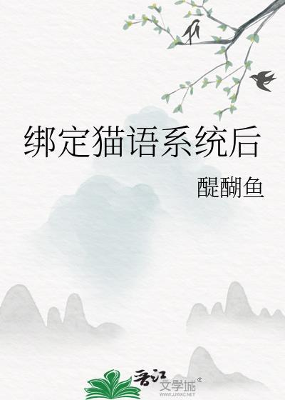 绑定猫语系统后盘