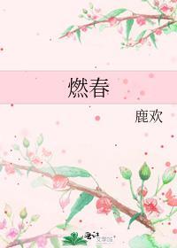 燃春夏秋冬