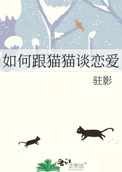 如何与猫咪建立感情