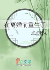 在离婚前重生了by点点枫火