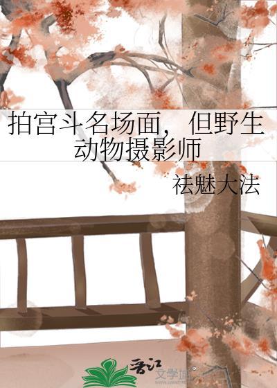 野生动物拍照