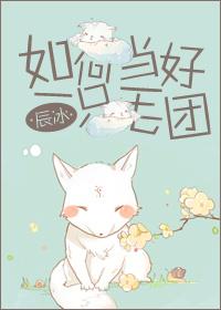 如何当好一只毛团——辰冰