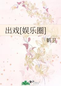出戏娱乐圈txt