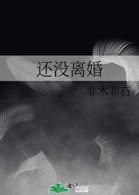 还没离婚梦见自己又结婚