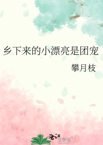 乡下来的小漂亮是团宠作者攀月枝