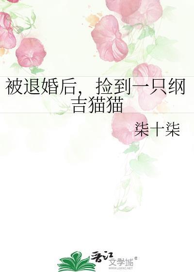 被退婚后捡到一只纲吉猫猫