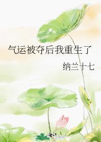 夺走反派福运后我名动天下番外
