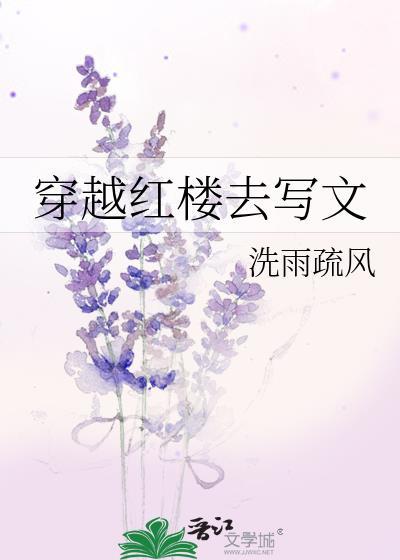 穿越 红楼