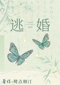 逃婚后去往何处 作者鹭点烟汀