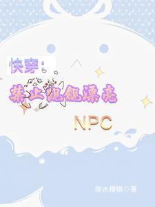 快穿禁止觊觎漂亮npc免费阅读