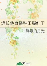 道长他直播种田爆红了说的什么