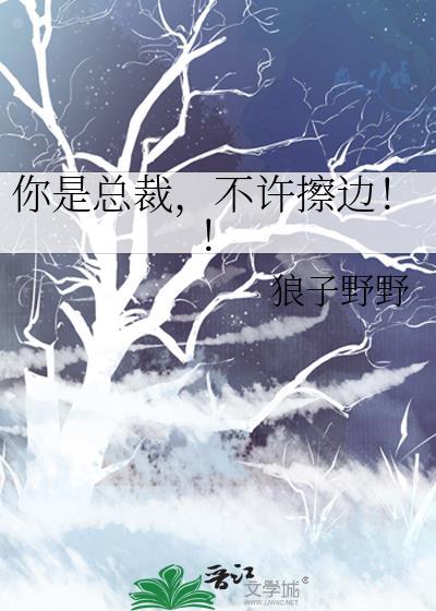 总裁 你不是不行吗
