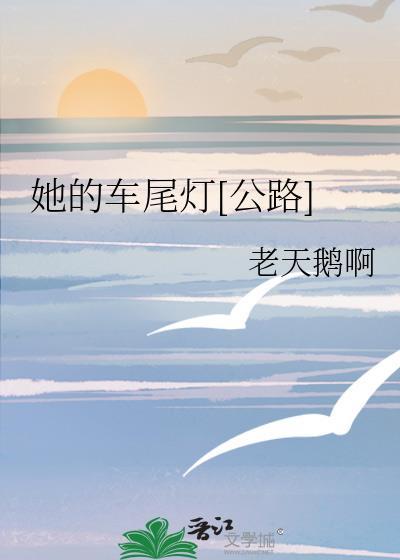 她的车尾灯[公路