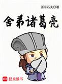 舍弟诸葛亮txt校正版