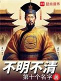 不明不清作者第十个名字