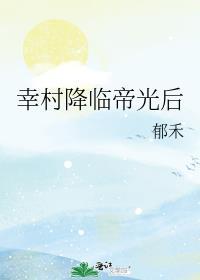 幸村无cp