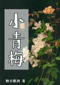 小青梅(np)糖豆蘸酒txt
