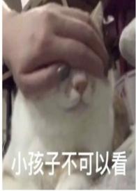圈养笔趣阁