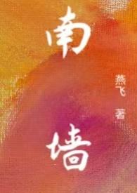 南墙