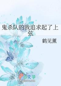 鬼灭之刃·鬼杀队见闻录