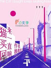 小猫刚买回来一直叫