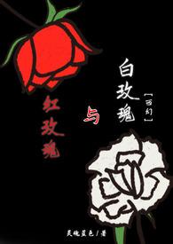 红玫瑰与白玫瑰的故事