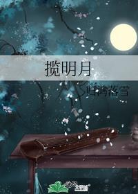 揽明月txt
