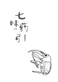 七味是啥意思