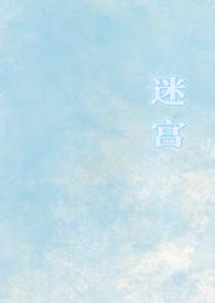 迷宫游戏免费阅读