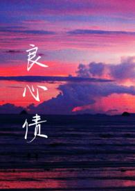 良心债第4集