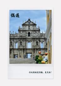 偶遇相亲app免费