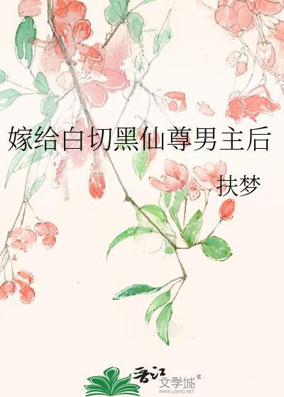 嫁了黑切白摄政王