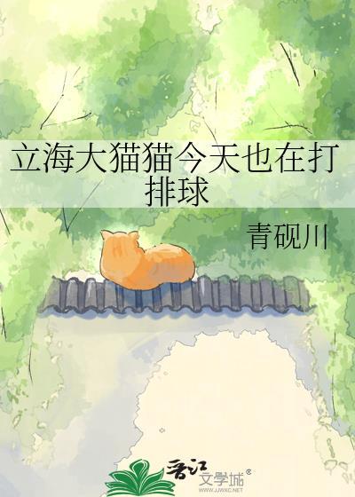 立海大destination