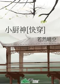 小厨神快穿41