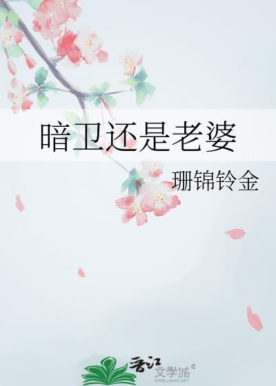 暗卫还是老婆免费阅读笔趣阁