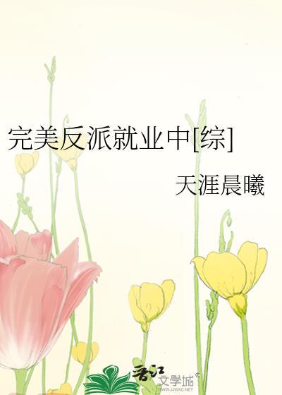 完美反派