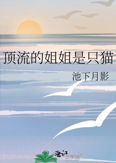 姐圈顶流