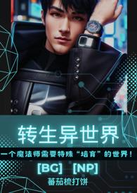 转生异世界bgnph
